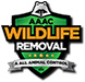 Friendswood Wildlife Removal